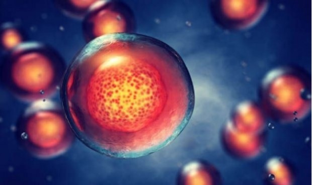 Las CAR-T, protagonistas en el curso de inmersión a la Hematología