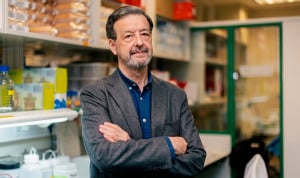 El especialista  Luis Álvarez-Vallina llevará a cabo un ensayo clínico frente a mieloma con la terapia Stab-T