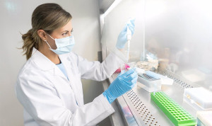 Las dos bacterias que más golpean a España por la resistencia antibiótica