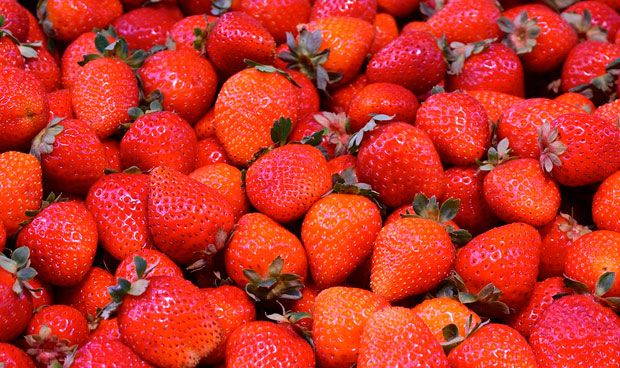 Las fresas combaten el cncer de mama en ratones