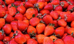 Las fresas combaten el cáncer de mama en ratones