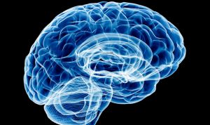 Las lesiones cerebrales, ligadas a la demencia años después de que ocurran