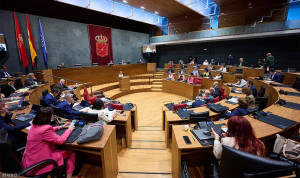 Un Pleno en el Parlamento de Navarra.
