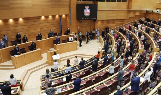 Luz verde del Senado a la Ley de Infancia, que limita ciertos actos médicos