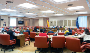  la Comisión de Economía en el Congreso de los Diputados aprueba la reforma de la Ley de responsabilidad civil en la circulación a motor.