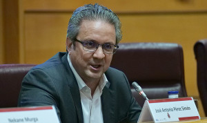 Linfocitos T mejoran al 71% de pacientes postrasplante con células madre