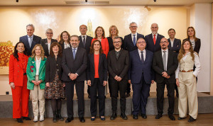 Consejo Interterritorial del Sistema Nacional de Salud (SNS)