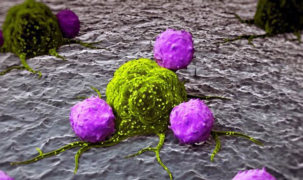 Los cánceres de distintos órganos comparten similitudes moleculares