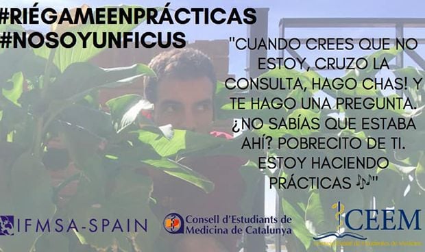 Los futuros médicos están hartos de "ser un ficus" en sus prácticas