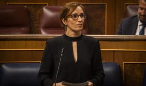 El Gobierno de España no define una lista de enfermedades o procesos de alta complejidad y curso irreversible cerrada para tener acceso a la Ley ELA