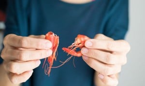 Los nutricionistas no ven peligro en chupar las cabezas de las gambas 