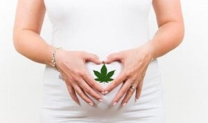 Los pediatras pactan 7 ‘normas’ para la relación entre embarazo y cannabis