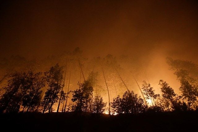 Los políticos sanitarios, consternados por los incendios en Galicia