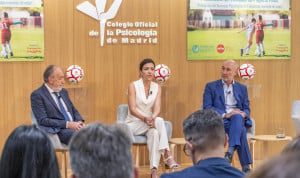 Presentación de los resultados del Proyecto PsiDE en el Colegio Oficial de la Psicología de Madrid.