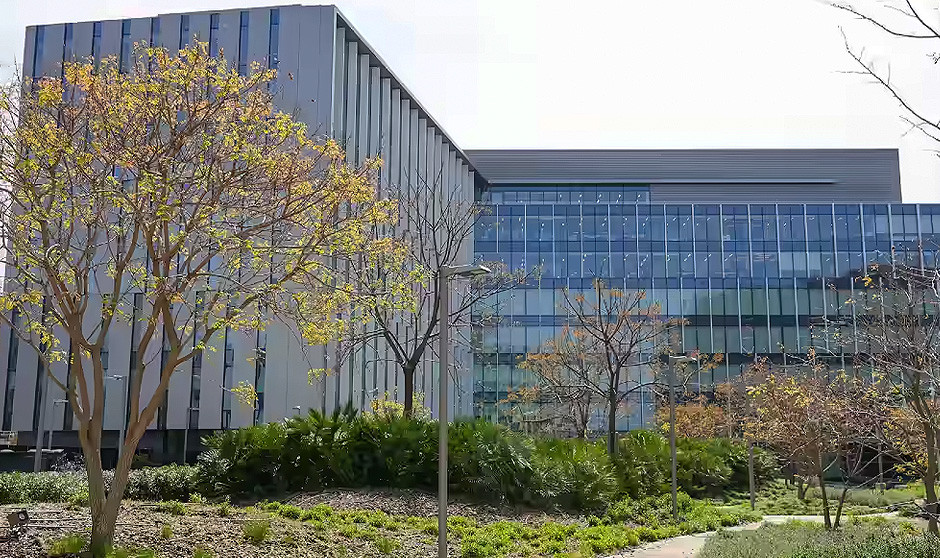 La duda prima en la clasificación profesional técnica por Función Pública