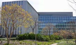 La duda prima en la clasificación profesional técnica por Función Pública