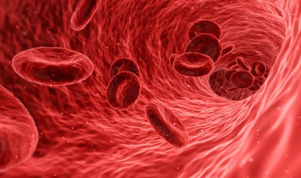 Los vasos sanguíneos envejecen más rápido en las mujeres que en los hombres