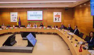  Un instante durante la reunión del Consejo Interterritorial del Sistema Nacional de Salud (CISNS).