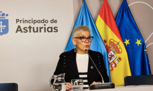 Luz verde a la Ley de Salud Mental asturiana tras más de 2 años de trámites