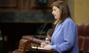 El Congreso debate una PNL del PSOE  sobre el tratamiento de los ovocitos en las clínicas de reproducción