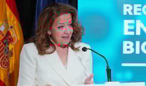 Fátima Matute, consejera de Sanidad de la Comunidad de Madrid