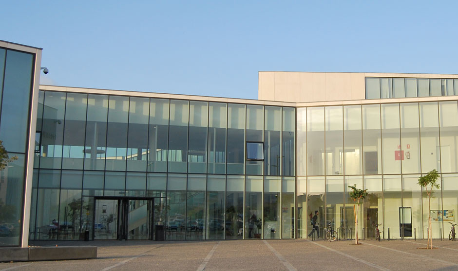 Málaga nombra catedrático de Fisioterapia experto en dolor persistente