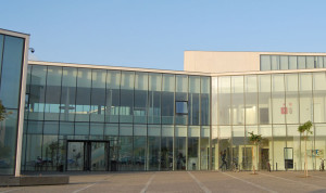 Málaga nombra catedrático de Fisioterapia experto en dolor persistente