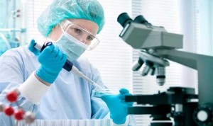 Más inversión pública como salida al atraso en innovación de España