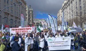 Los médicos toman la capital de España reivindicando un Estatuto Marco que reconozca sus especificidades. 