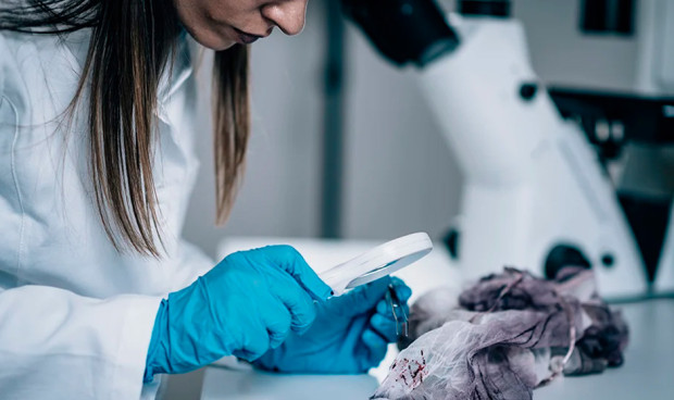 Menos del 25% de los médicos forenses en activo tienen la especialidad