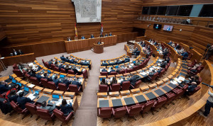 Menos voces sanitarias (pero alguna nueva) en las Cortes de Castilla y León