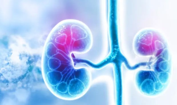 Mira de frente a la Glomerulopatía C3, desenmascara esta enfermedad rara