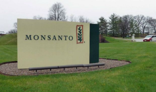 Monsanto, la 'joya de la corona' de Bayer, no sale del ojo del huracán