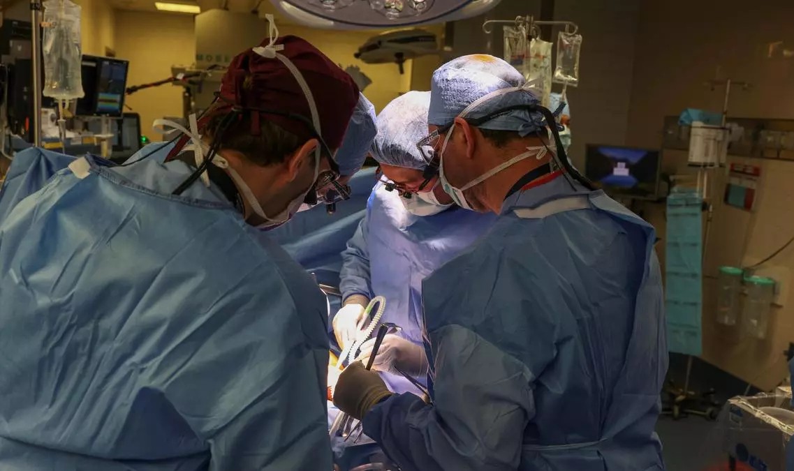 Ha muerto el hombre al que trasplantaron un riñón de cerdo