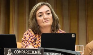  Cristina Herrero, directora de la Airef, apunta a que  la sanidad es el motor del empleo español.
