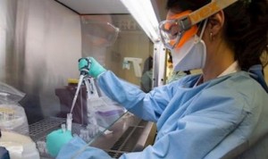 Norovirus, el brote vírico veraniego que ya investiga la Junta de Andalucía