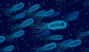 Nueva alerta por listeria: retiran quesos franceses hechos con leche cruda