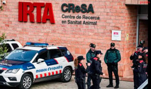 Nuevo registro en el laboratorio sospechoso de la fuga de peste porcina