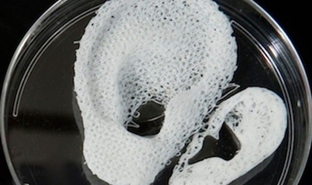 Nuevos sistemas de bioimpresión 3D regeneran cartílagos y huesos