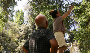 Investigadores de árboles y cambio climático