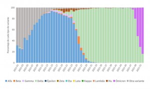 Ómicron ya supone más del 95% de casos covid en 3 comunidades autónomas