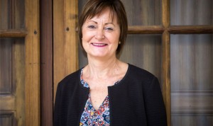 Ontinyent impartirá el grado de Enfermería el próximo curso 2017-2018