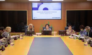  La directora general de Osakidetza, Lore Bilbao, en la Comisión de Salud de Euskadi.