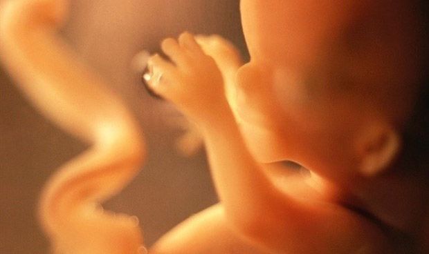 Osakidetza participa en la creación de mecanismos que analizan el ADN fetal