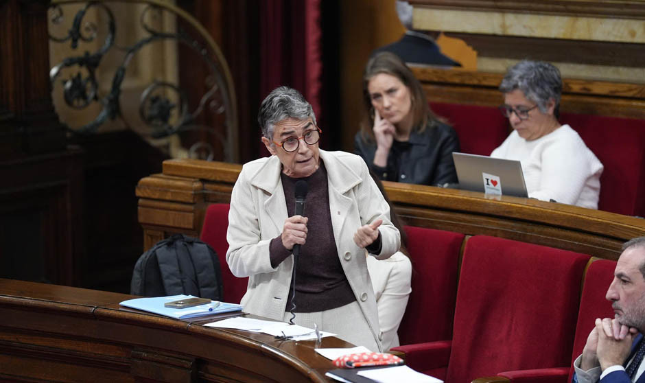 Pané apunta a "formular alegaciones" al anteproyecto del Gobierno de gestión pública de la sanidad