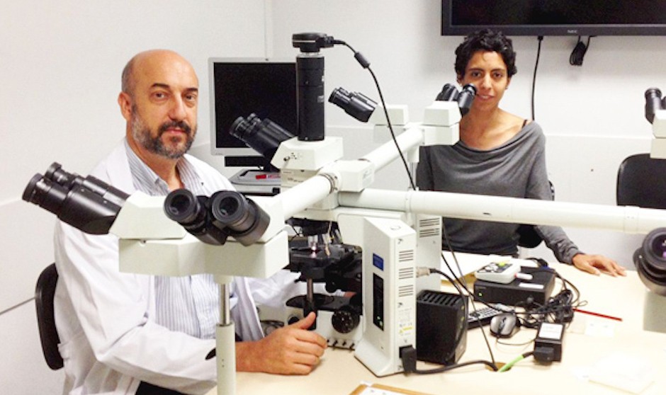 Pedro Luis Fernández, Catedrático de Universidad en Anatomía Patológica