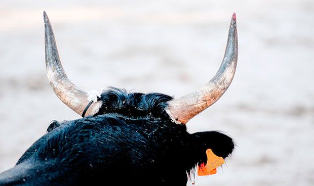 Polémica por remolcar un toro con una ambulancia en unas fiestas populares