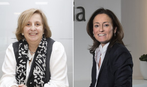 Primaria aspira a integrar investigación en agenda "en 10 años"