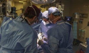 Primer trasplante de riñón de cerdo modificado genéticamente a un humano