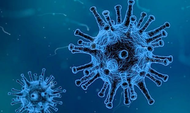 Publican por primera vez en vídeo cómo se forman los virus